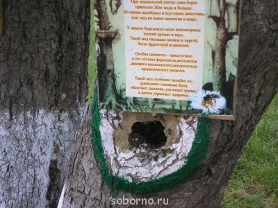 Пустынь Св Феодосия Кавказского - P1010053.JPG