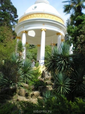 Сочи и окрестности 2010 - P8240019.jpg