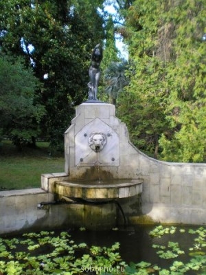 Сочи и окрестности 2010 - P8240120.jpg