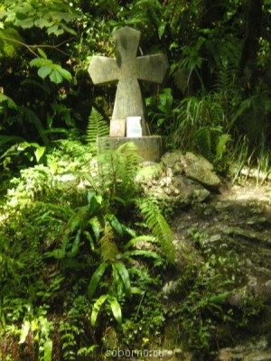 АБХАЗИЯ. НОВЫЙ АФОН - P7270226.jpg