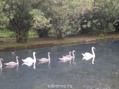 АБХАЗИЯ. НОВЫЙ АФОН - P7270236.JPG