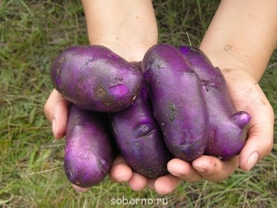 Угадай сказку - 0_3d514_d5857e95_L.jpg