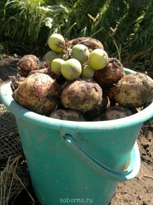 Угадай сказку - 0_65f78_496a4223_L.jpg