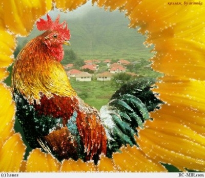 Доброе утро и Спокойной ночи  - 1941334000ba13b89f5c6dc3cf6e64582781450cdc.jpg